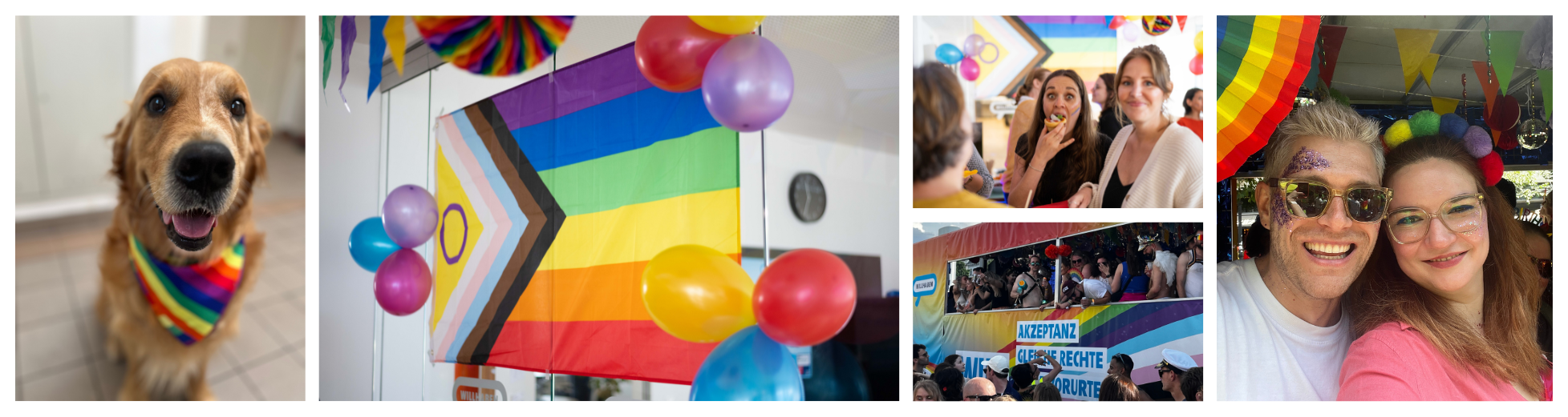 pictures from willhaben office with employees, pride flag and a dog