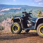 Quad