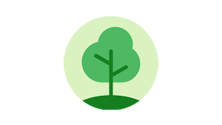 Baum