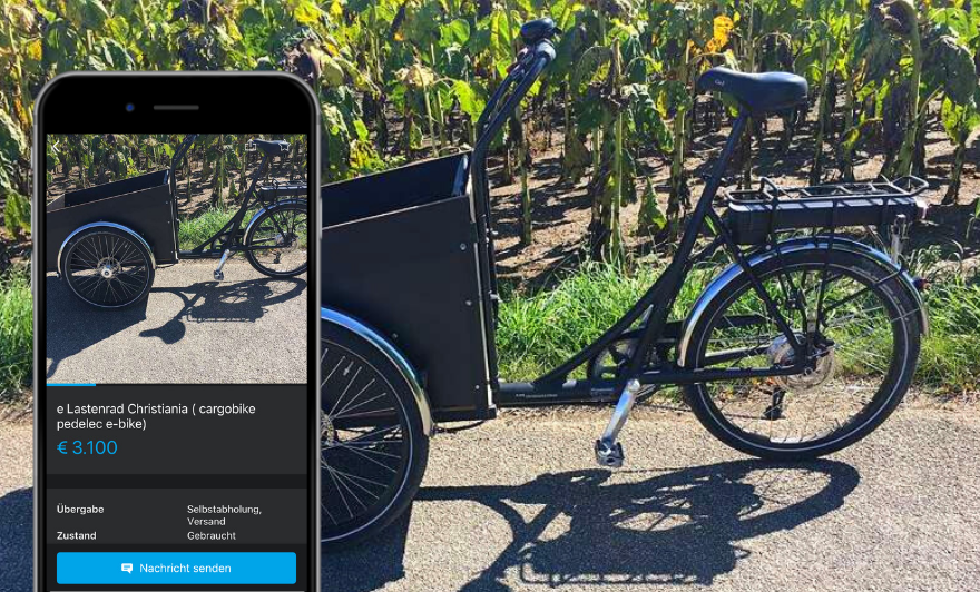 E-Lastenrad