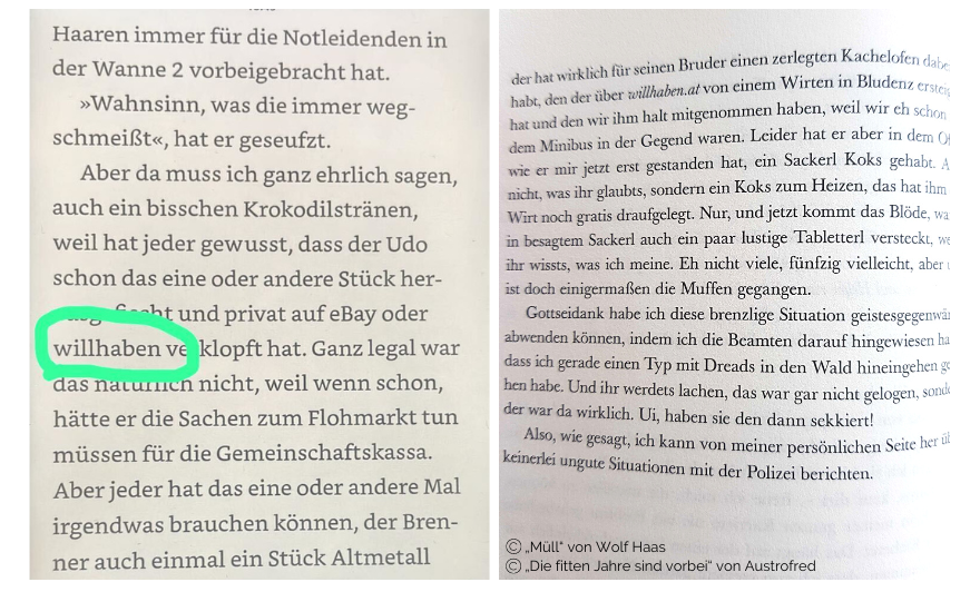 202212-willhaben-blogpost-alltag-6